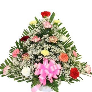 Color Carnation Fan