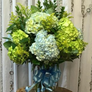 Hydrangea Celebration