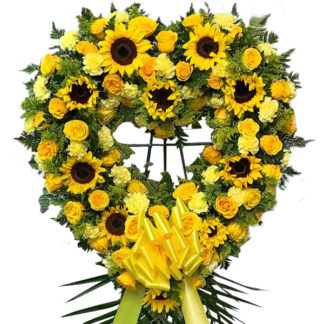 Sunshine Heart
