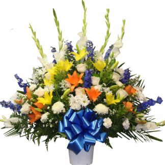 Brave Basket