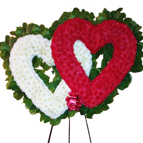 One Love Two Hearts