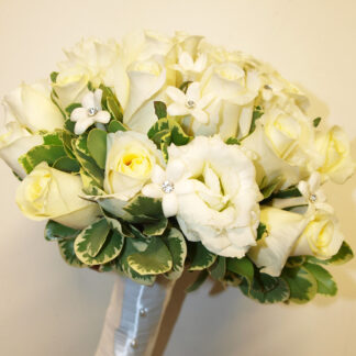 Shades of White