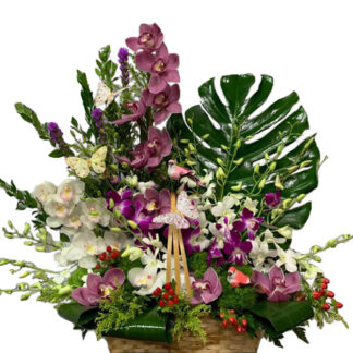 Orchid Paradise