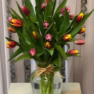 Spring Tulips