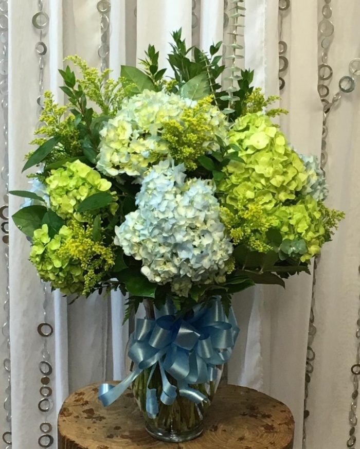 Hydrangea Celebration