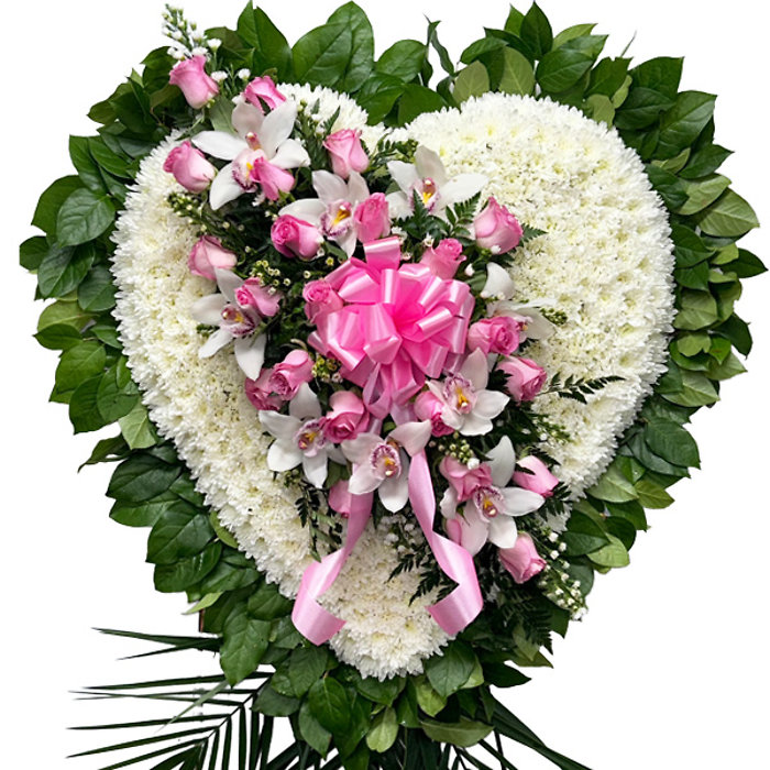 Delicate Heart