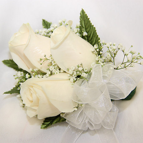 Triple Rose