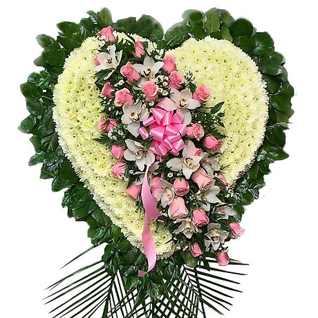 Delicate Heart