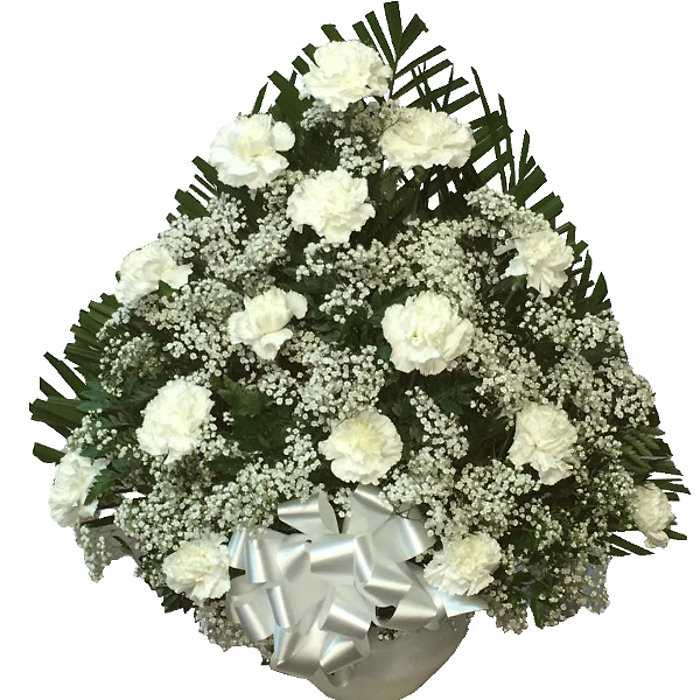 White Carnation Fan