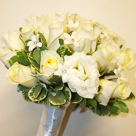 Shades of White