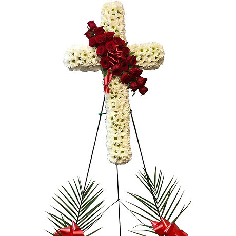 Daisy Cross